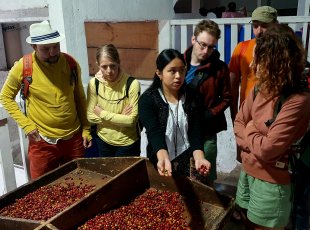 Místní dívka vysvětluje proces výroby kávy na venkovské farmě