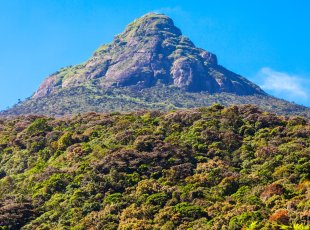 Srí Lanka