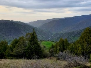 Panorama Zaaminských hor