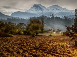 Políčka pod Huascaránem