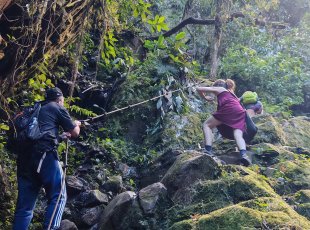 Lezení po cestě na pralesní vodopády