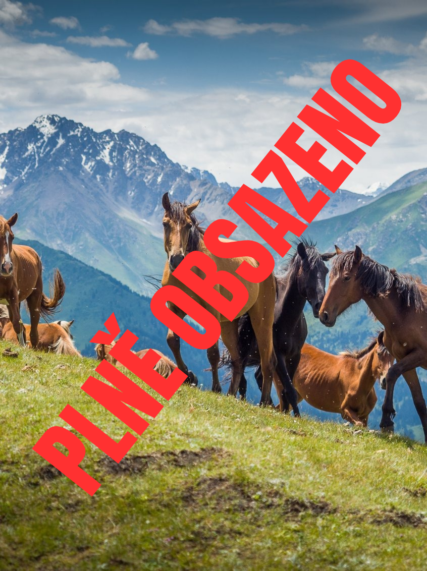 Nespoutaný Kyrgyzstán
