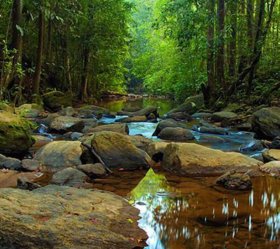 9. den: Vodopády Ravana a cesta do Sinharajee