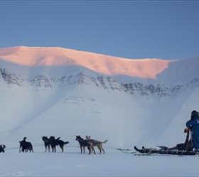 3. den: Výlet na psím spřeženíe