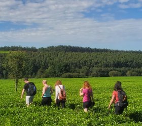 4. - 5. den | Kericho, rovník a plameňáci u jezera Elmenteitae
