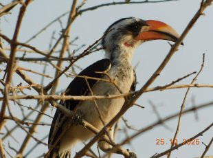 Nepoznaná Tanzanie + Zanzibar