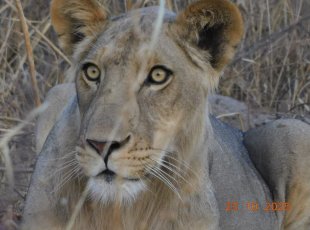 Nepoznaná Tanzanie + Zanzibar